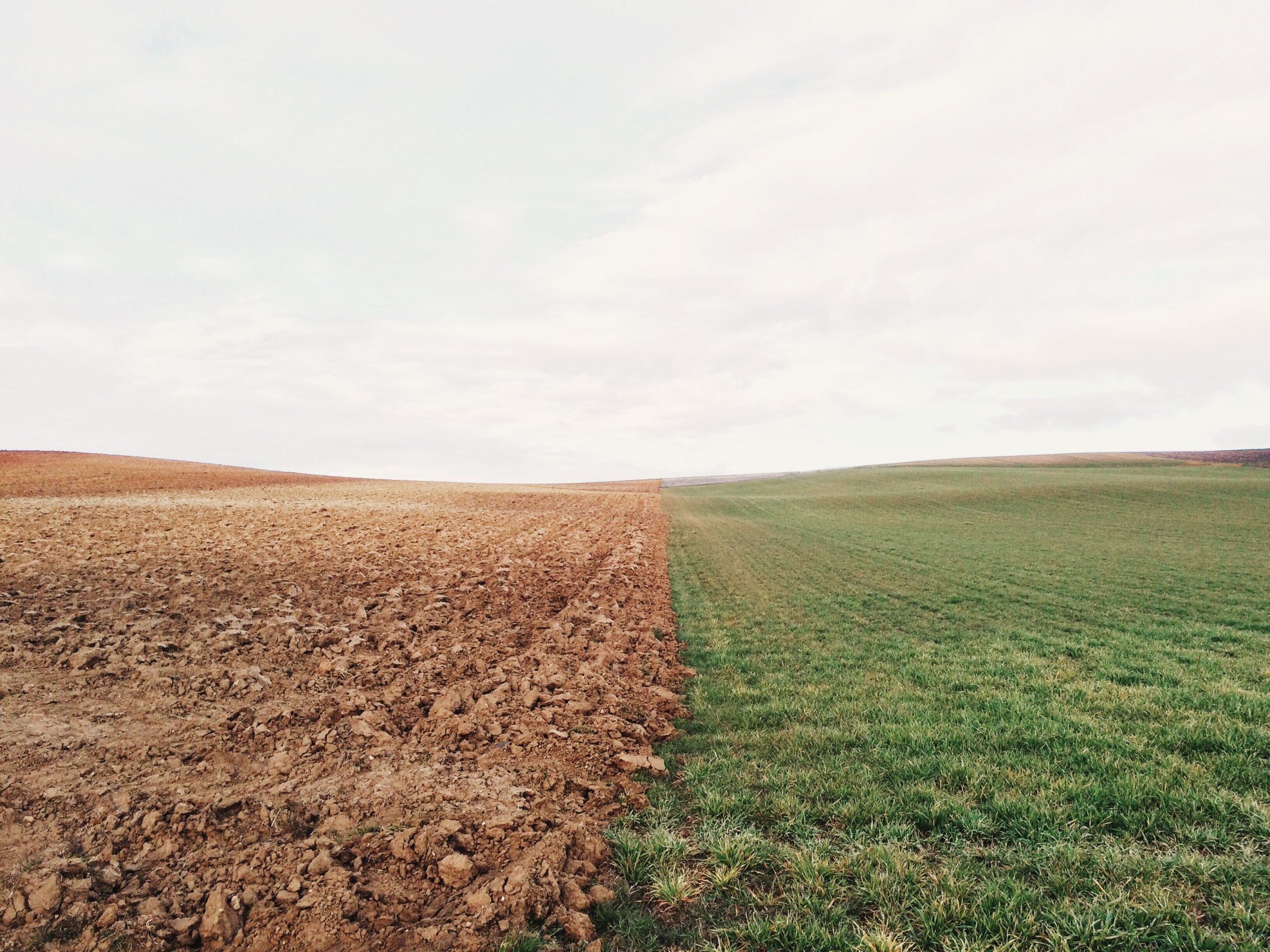 tranformation des terres